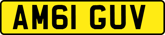 AM61GUV
