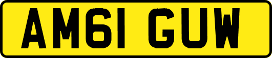 AM61GUW
