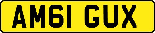 AM61GUX