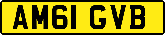 AM61GVB