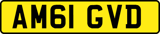 AM61GVD
