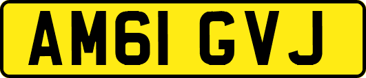 AM61GVJ