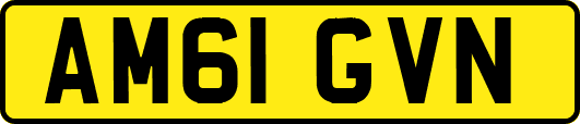 AM61GVN