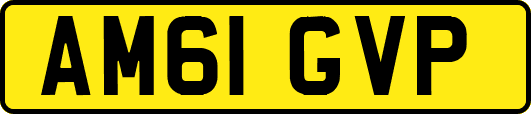 AM61GVP