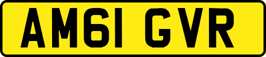 AM61GVR