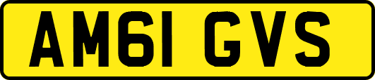 AM61GVS
