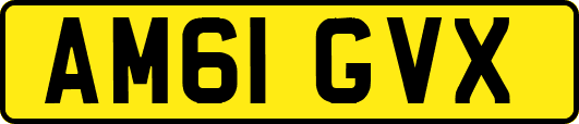 AM61GVX