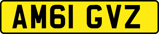 AM61GVZ
