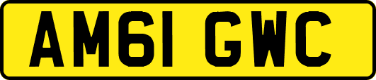 AM61GWC