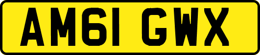 AM61GWX