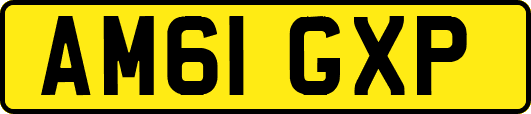 AM61GXP