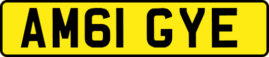 AM61GYE