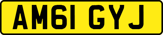 AM61GYJ