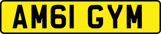 AM61GYM
