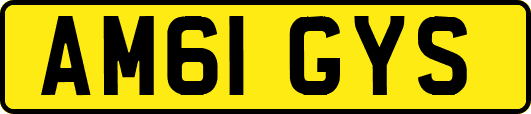 AM61GYS