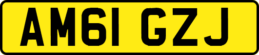 AM61GZJ