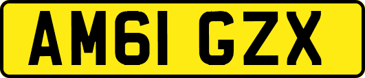 AM61GZX