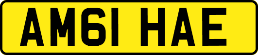 AM61HAE