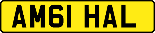 AM61HAL