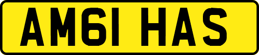 AM61HAS