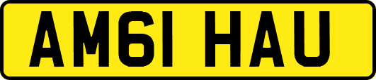 AM61HAU