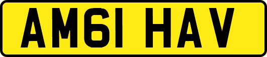 AM61HAV
