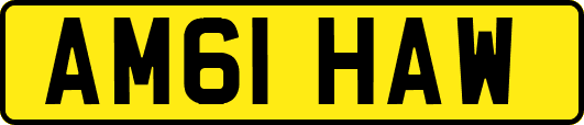 AM61HAW