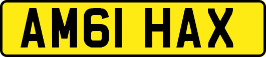 AM61HAX