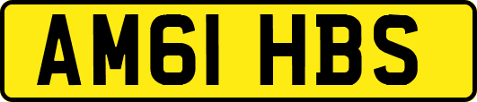 AM61HBS