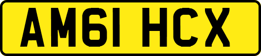 AM61HCX