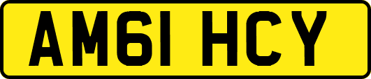AM61HCY