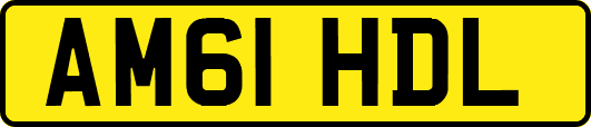 AM61HDL