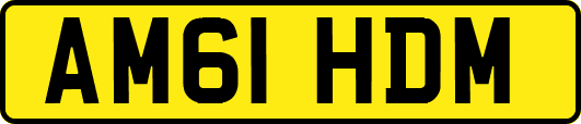 AM61HDM
