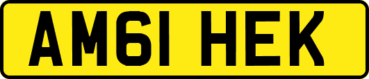 AM61HEK