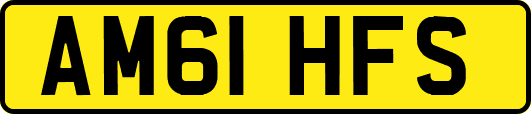 AM61HFS