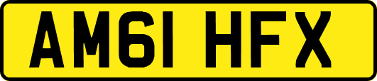 AM61HFX