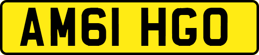 AM61HGO