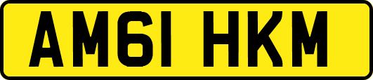 AM61HKM