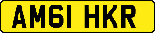 AM61HKR