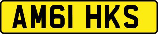 AM61HKS