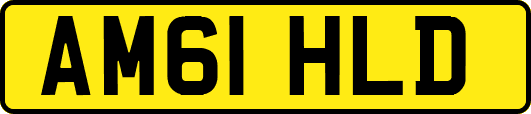 AM61HLD