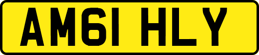 AM61HLY