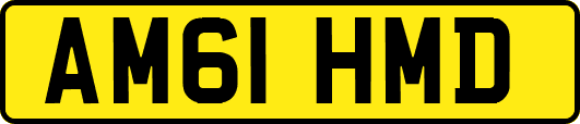 AM61HMD