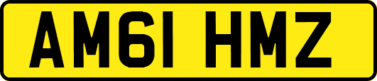 AM61HMZ