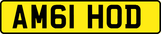 AM61HOD