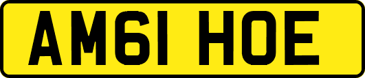 AM61HOE