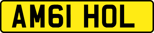 AM61HOL