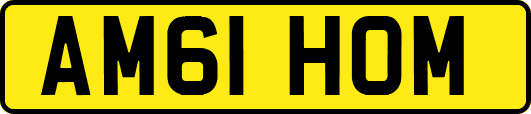 AM61HOM