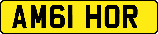 AM61HOR