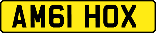 AM61HOX